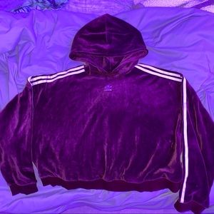 gorgeous velvet maroon cropped hoodie